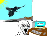 bald bird computer crying glasses keyboard stubble sunglasses v:soyak window // 707x551 // 68KB